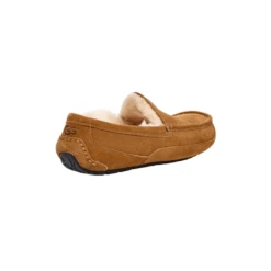 UGG Ascot Slipper - Men's