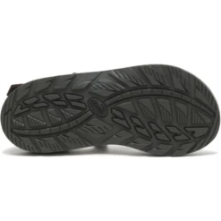Chaco Z/Cloud 2 Sandal - Men's