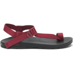 Chaco Bodhi Sandal - Women's